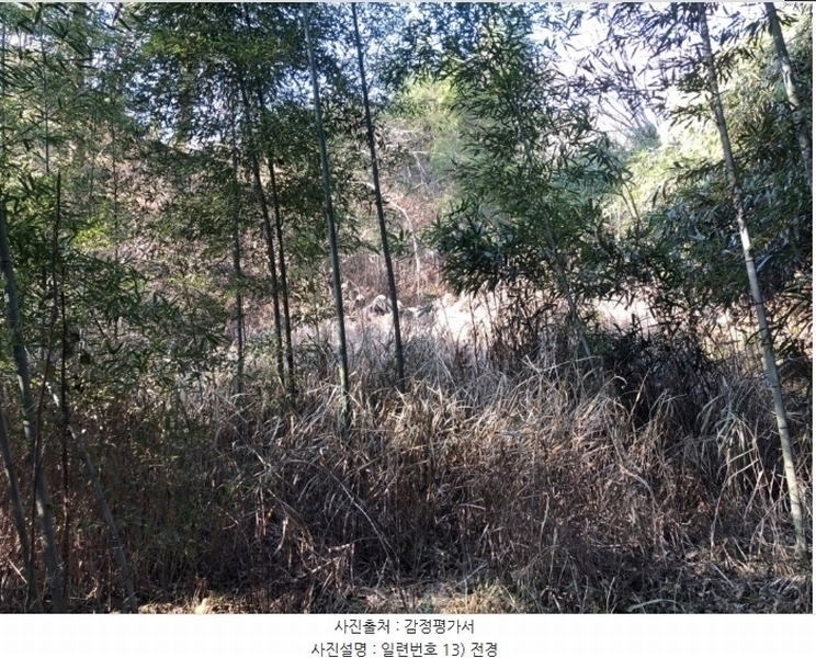 2024타경4244 경상북도 성주군 금수강산면 광산리 983 임야 경매 이미지