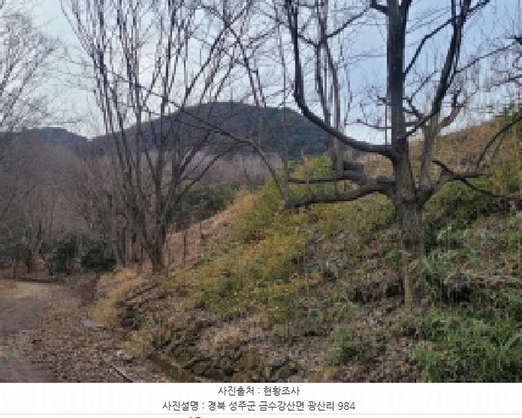 2024타경4244 경상북도 성주군 금수강산면 광산리 983 임야 경매 이미지