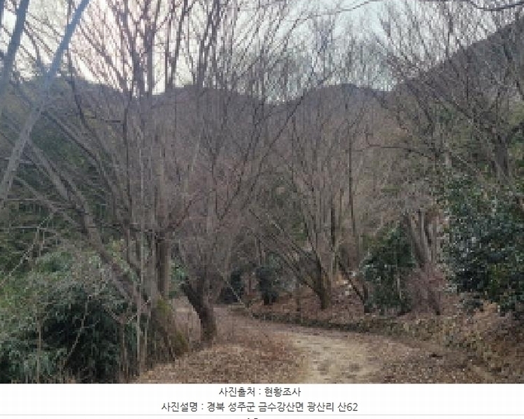 2024타경4244 경상북도 성주군 금수강산면 광산리 983 임야 경매 이미지