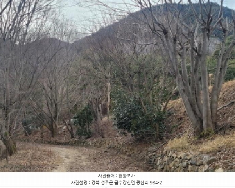 2024타경4244 경상북도 성주군 금수강산면 광산리 983 임야 경매 이미지