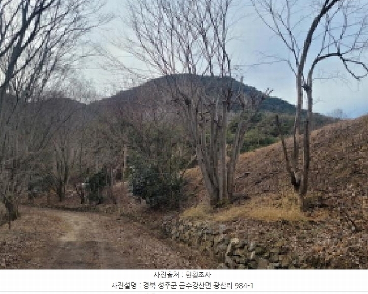 2024타경4244 경상북도 성주군 금수강산면 광산리 983 임야 경매 이미지