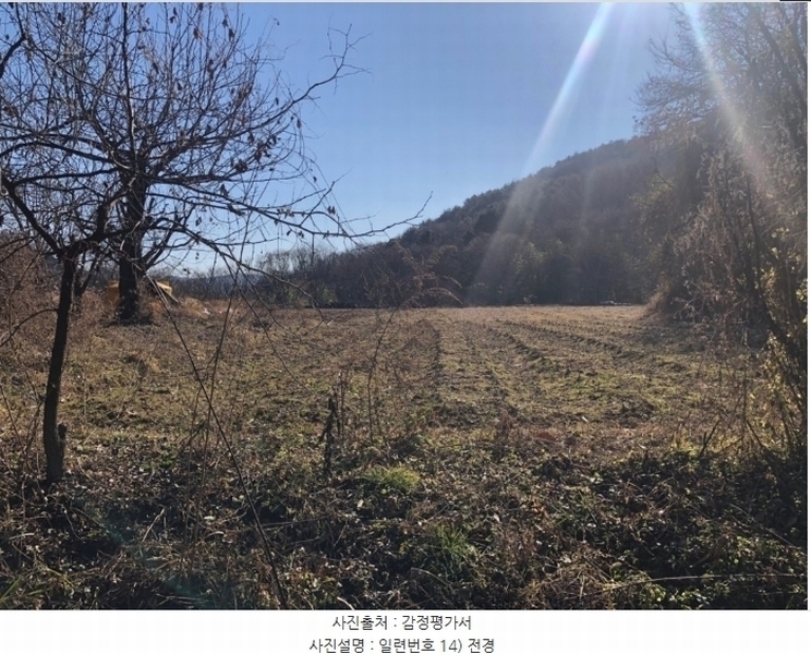 2024타경4244 경상북도 성주군 금수강산면 광산리 983 임야 경매 이미지