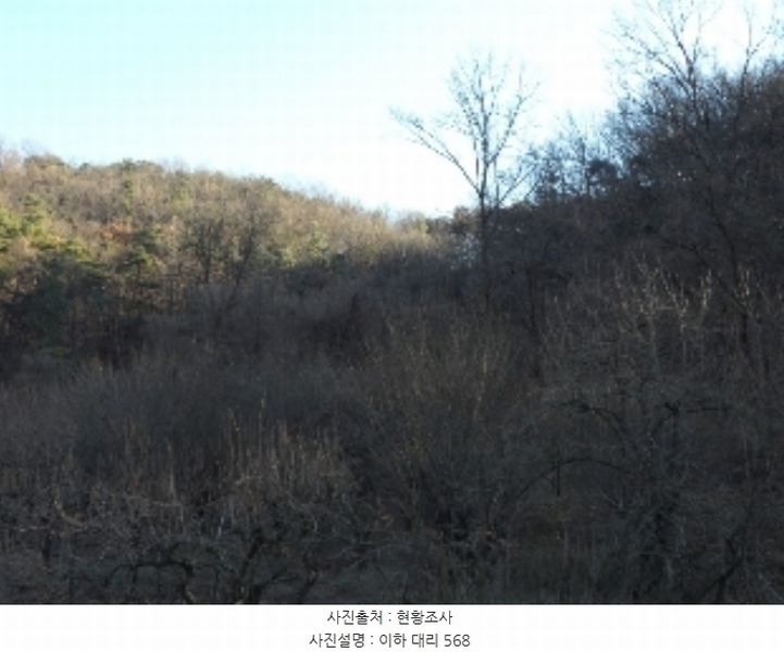 2024타경4664 대구광역시 달성군 현풍읍 대리 568 농지 경매 이미지