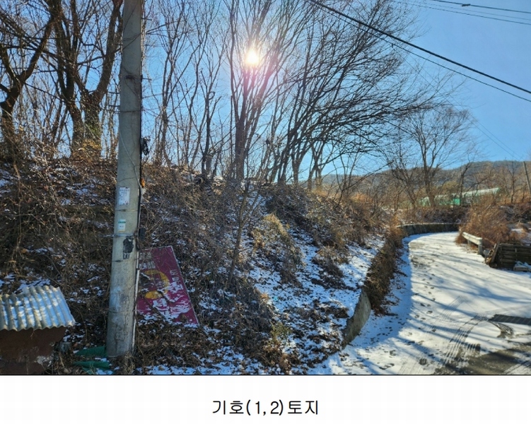 2024타경45672 대구광역시 달성군 가창면 옥분리 489 농지 경매 이미지