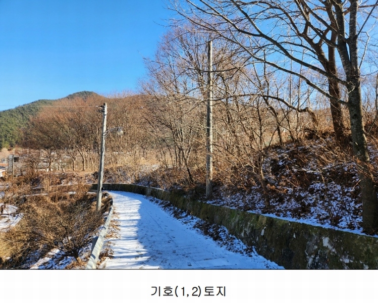 2024타경45672 대구광역시 달성군 가창면 옥분리 489 농지 경매 이미지