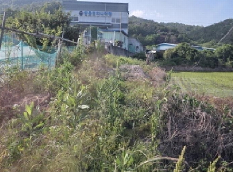 2025타경980 경상북도 성주군 선남면 문방리 875-1 창고 경매 이미지