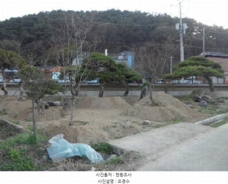 2025타경30934 경상북도 고령군 대가야읍 고아리 135-1 농지 경매 이미지
