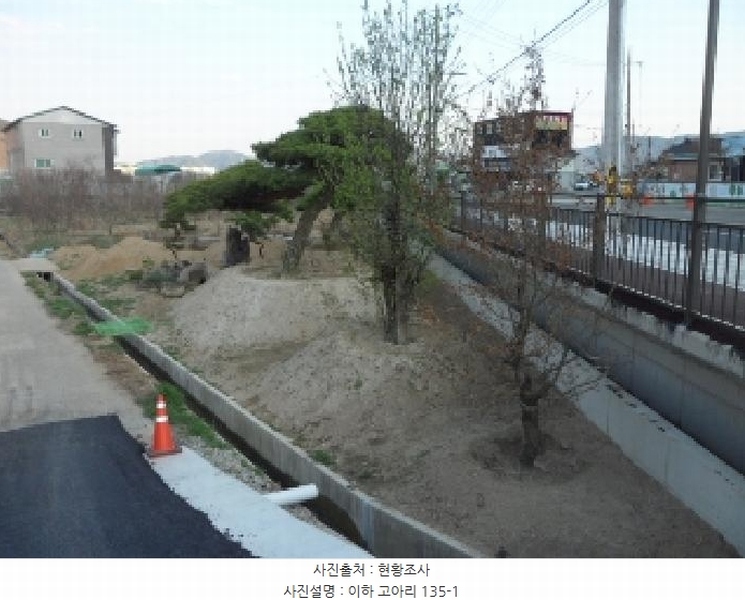 2025타경30934 경상북도 고령군 대가야읍 고아리 135-1 농지 경매 이미지