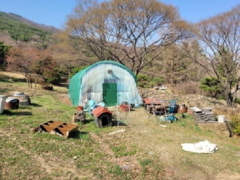 2025타경31001 대구광역시 달성군 가창면 대일리 715 농지 경매 이미지