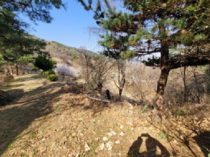 2025타경31001 대구광역시 달성군 가창면 대일리 715 농지 경매 이미지