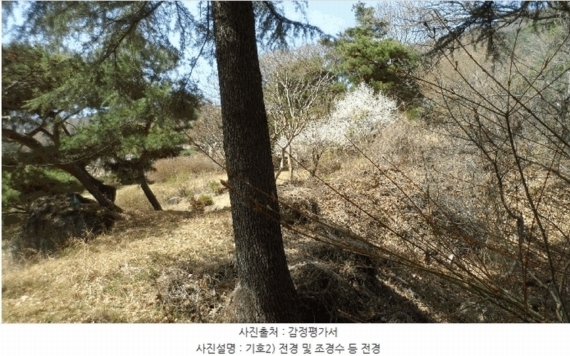 2025타경31001 대구광역시 달성군 가창면 대일리 715 농지 경매 이미지