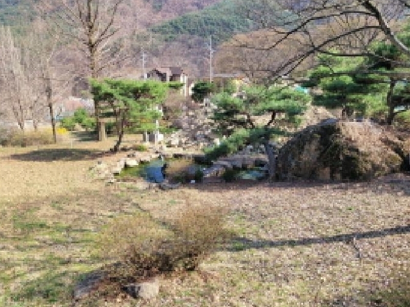 2025타경31001 대구광역시 달성군 가창면 대일리 715 농지 경매 이미지