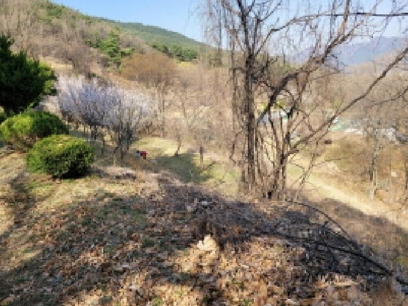 2025타경31001 대구광역시 달성군 가창면 대일리 715 농지 경매 이미지
