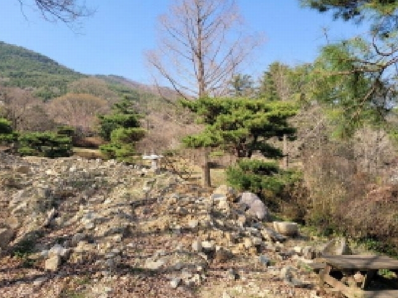 2025타경31001 대구광역시 달성군 가창면 대일리 715 농지 경매 이미지
