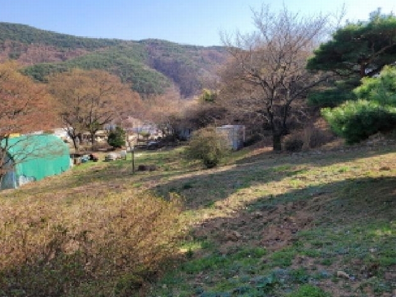 2025타경31001 대구광역시 달성군 가창면 대일리 715 농지 경매 이미지