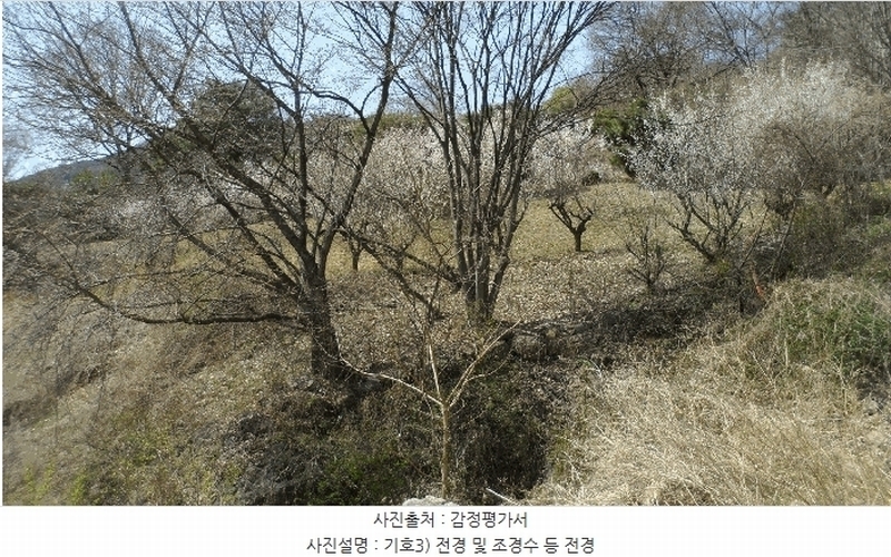 2025타경31001 대구광역시 달성군 가창면 대일리 715 농지 경매 이미지