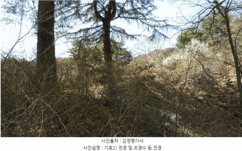 2025타경31001 대구광역시 달성군 가창면 대일리 715 농지 경매 이미지