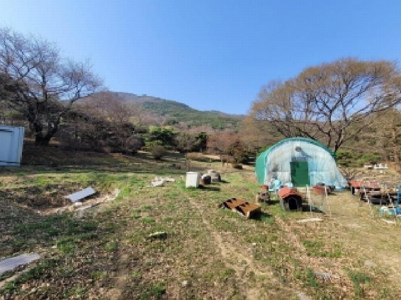 2025타경31001 대구광역시 달성군 가창면 대일리 715 농지 경매 이미지