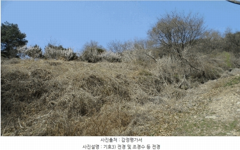 2025타경31001 대구광역시 달성군 가창면 대일리 715 농지 경매 이미지
