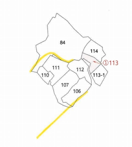 2025타경31126 경상북도 고령군 쌍림면 월막리 113 대지 경매 이미지
