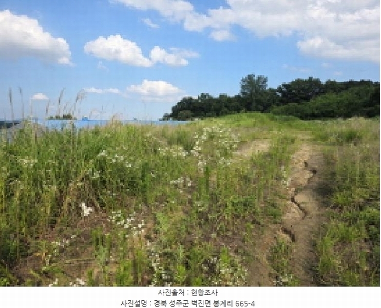 2025타경31206 경상북도 성주군 벽진면 봉계리 664 농지 경매 이미지
