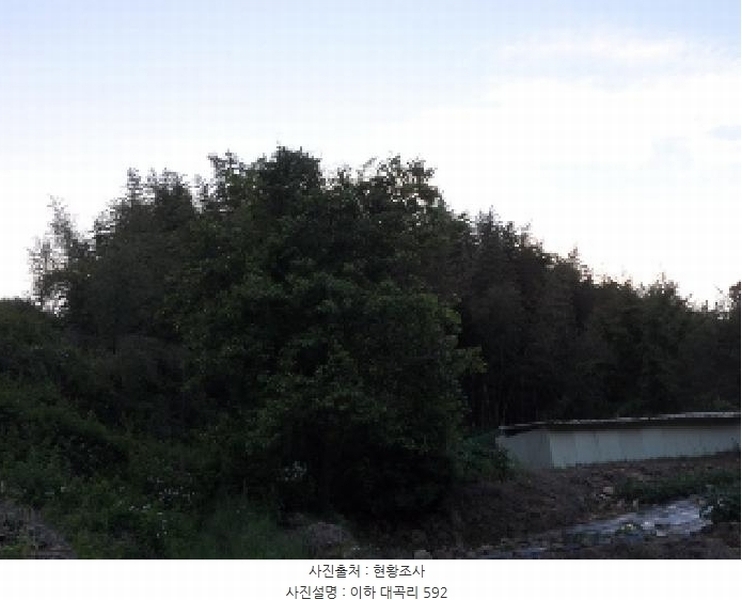 2025타경31216 경상북도 고령군 우곡면 대곡리 575 묘지 경매 이미지