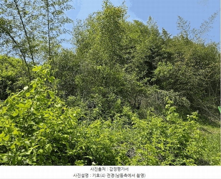 2025타경31216 경상북도 고령군 우곡면 대곡리 575 묘지 경매 이미지