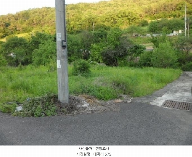 2025타경31216 경상북도 고령군 우곡면 대곡리 575 묘지 경매 이미지