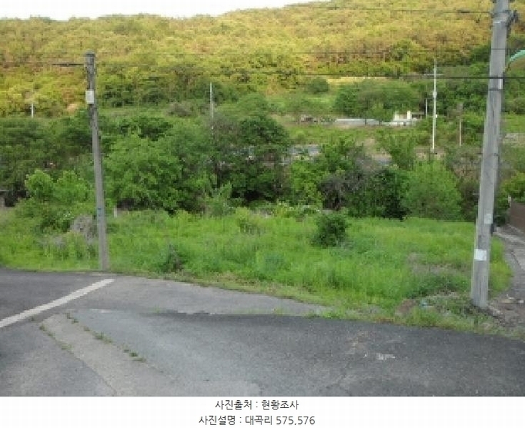 2025타경31216 경상북도 고령군 우곡면 대곡리 575 묘지 경매 이미지
