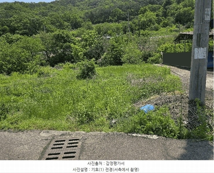 2025타경31216 경상북도 고령군 우곡면 대곡리 575 묘지 경매 이미지