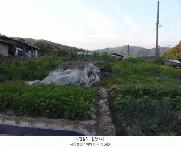 2025타경31216 경상북도 고령군 우곡면 대곡리 575 묘지 경매 이미지