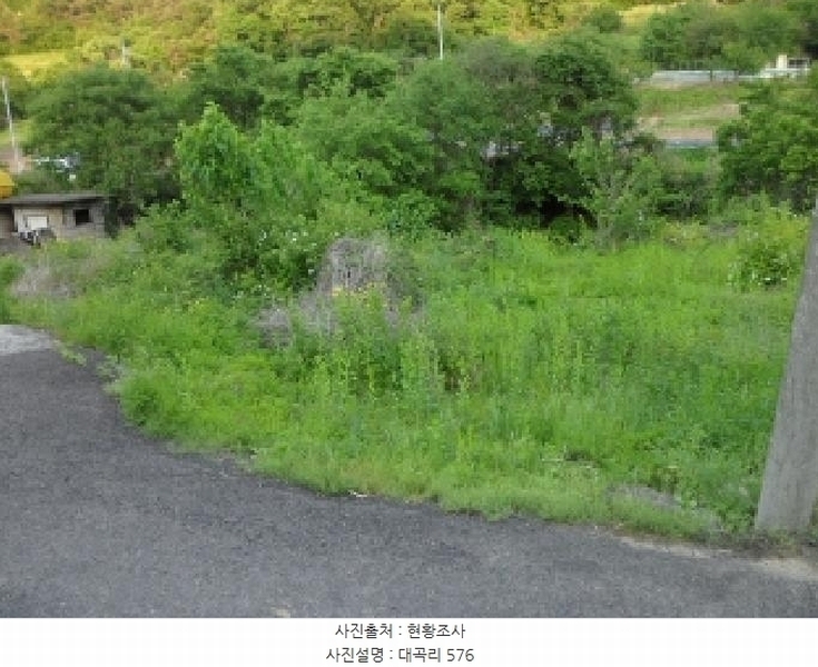 2025타경31216 경상북도 고령군 우곡면 대곡리 575 묘지 경매 이미지