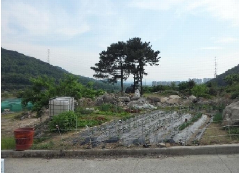 2025타경31228 대구광역시 달성군 유가읍 양리 383-1 대지 경매 이미지