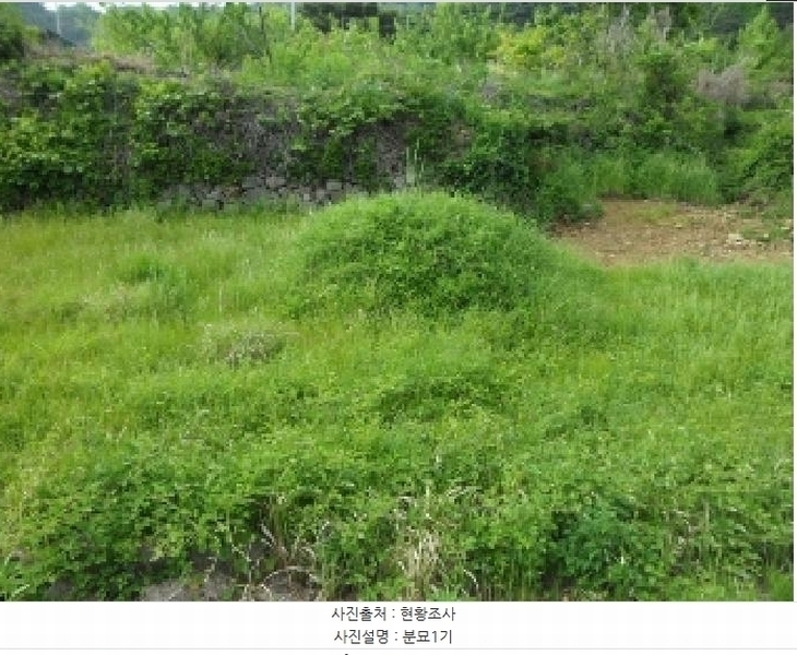 2025타경31228 대구광역시 달성군 유가읍 양리 383-1 대지 경매 이미지