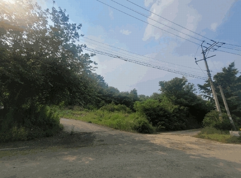 2025타경31276 대구광역시 달성군 구지면 예현리 140-7 대지 경매 이미지