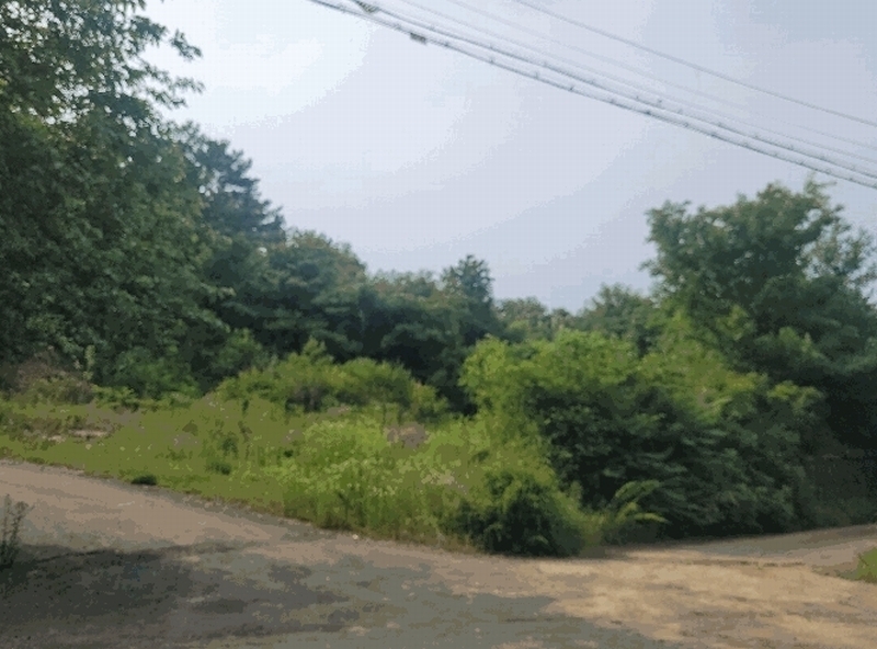 2025타경31276 대구광역시 달성군 구지면 예현리 140-7 대지 경매 이미지