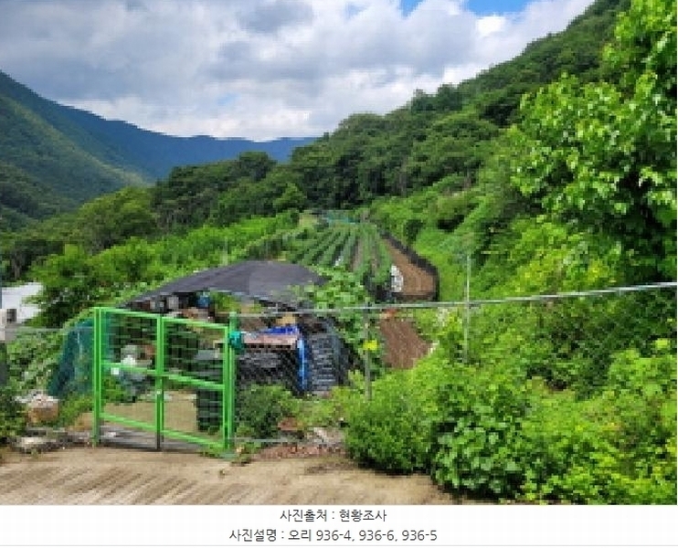 2025타경31379 대구광역시 달성군 가창면 오리 936 농지 경매 이미지