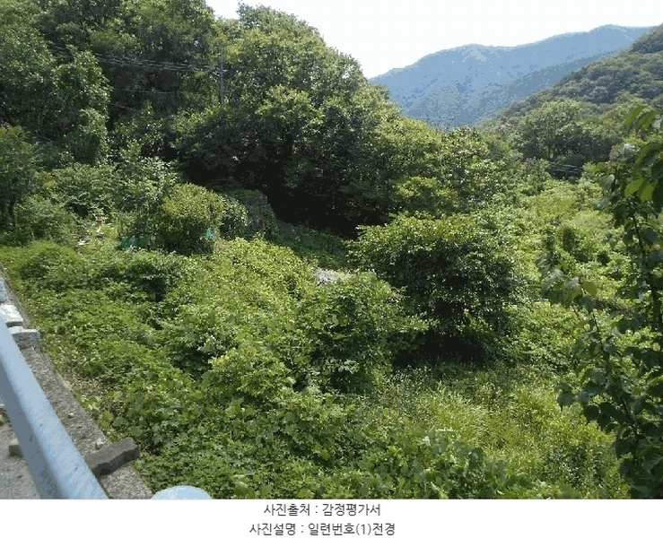 2025타경31379 대구광역시 달성군 가창면 오리 936 농지 경매 이미지