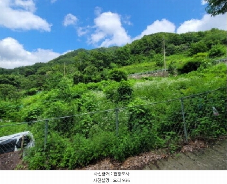 2025타경31379 대구광역시 달성군 가창면 오리 936 농지 경매 이미지