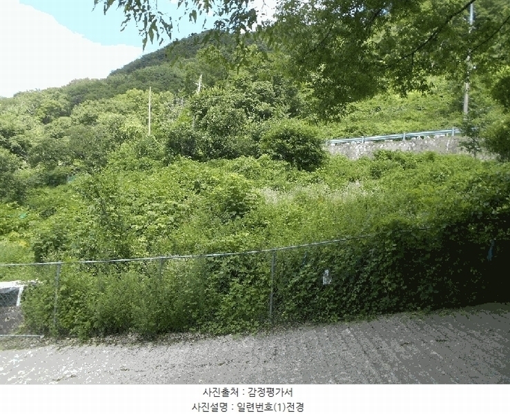 2025타경31379 대구광역시 달성군 가창면 오리 936 농지 경매 이미지