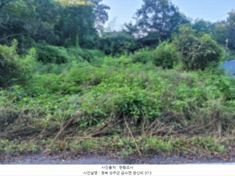 2024타경38902 경상북도 성주군 금수강산면 광산리 973 주택 경매 이미지