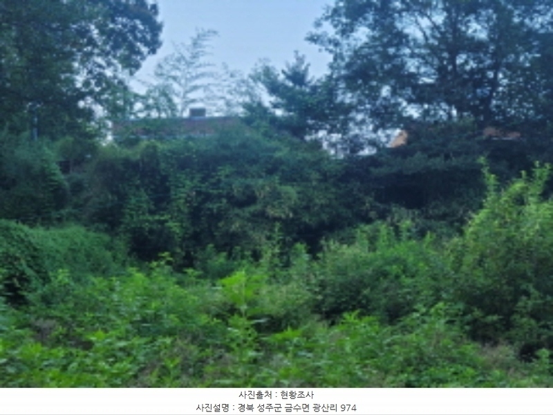 2024타경38902 경상북도 성주군 금수강산면 광산리 973 주택 경매 이미지