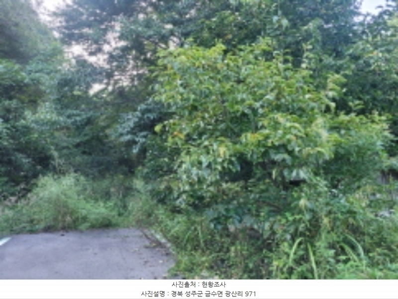 2024타경38902 경상북도 성주군 금수강산면 광산리 973 주택 경매 이미지