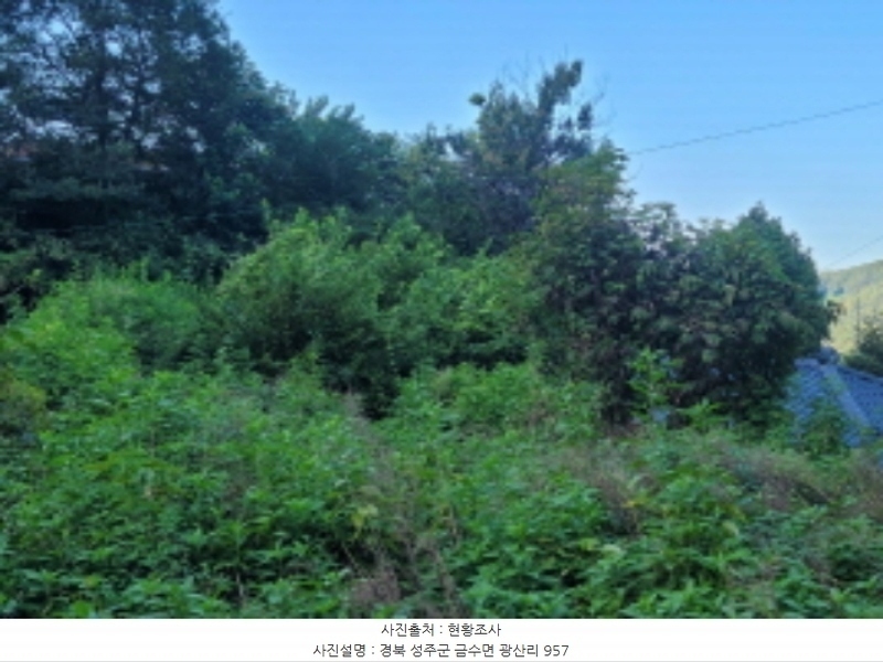 2024타경38902 경상북도 성주군 금수강산면 광산리 973 주택 경매 이미지