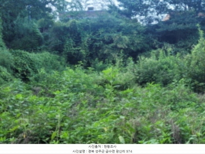 2024타경38902 경상북도 성주군 금수강산면 광산리 973 주택 경매 이미지