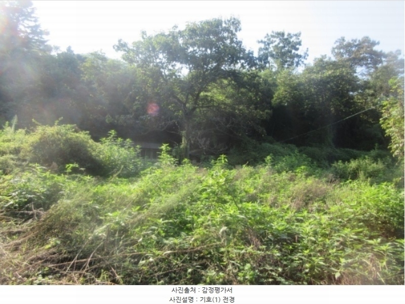 2024타경38902 경상북도 성주군 금수강산면 광산리 973 주택 경매 이미지
