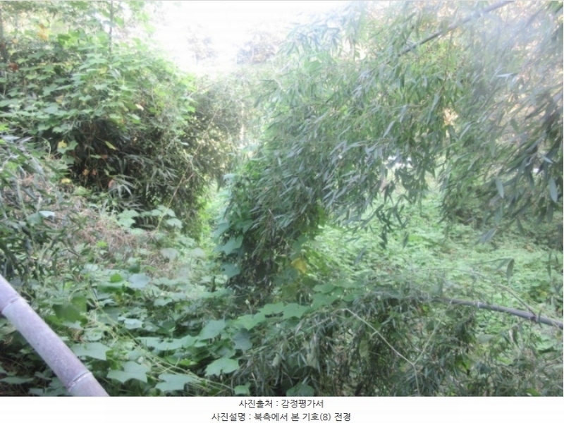 2024타경38902 경상북도 성주군 금수강산면 광산리 973 주택 경매 이미지