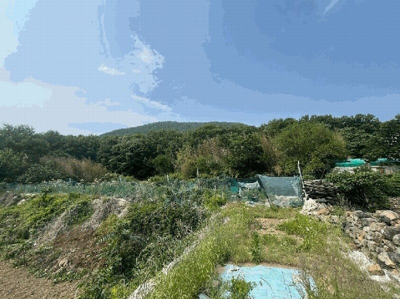 2024타경44426 대구광역시 달성군 논공읍 노이리 1133 농지 경매 이미지