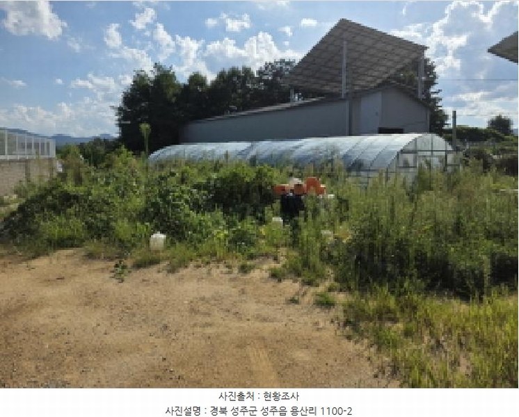 2025타경1839 경상북도 성주군 성주읍 용산리 1100-2 농지 경매 이미지