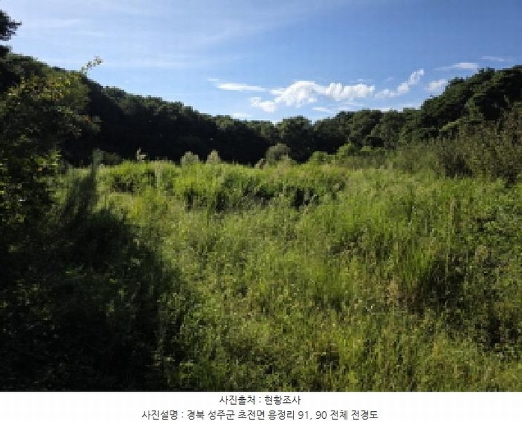 2025타경1938 경상북도 성주군 초전면 용성리 90 농지 경매 이미지